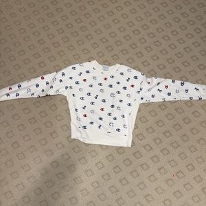 Champion sweatshirt